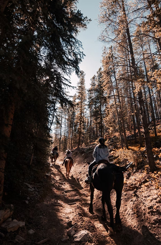 Grupo paseando en caballo